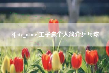 南城王子豪个人简介乒乓球