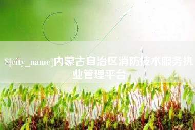南城内蒙古自治区消防技术服务执业管理平台