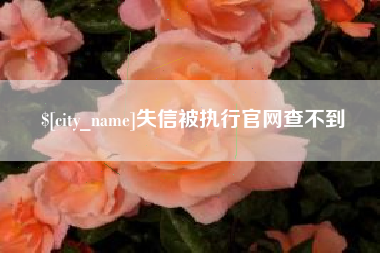 南城失信被执行官网查不到