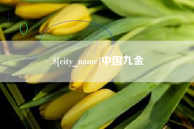 南城中国九金