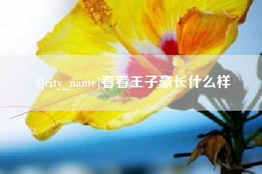 南城看看王子豪长什么样