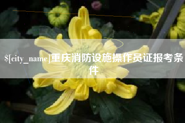 南城重庆消防设施操作员证报考条件