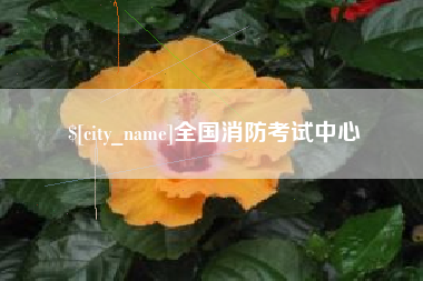 南城全国消防考试中心