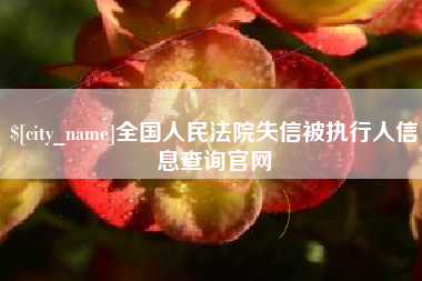 南城全国人民法院失信被执行人信息查询官网