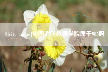 南城中国消防救援学院属于985吗
