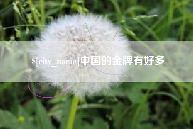 南城中国的金牌有好多