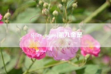 南城第九金是