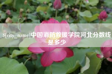南城中国消防救援学院河北分数线是多少