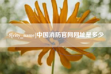 南城中国消防官网网址是多少