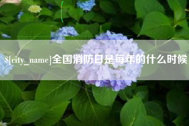 南城全国消防日是每年的什么时候