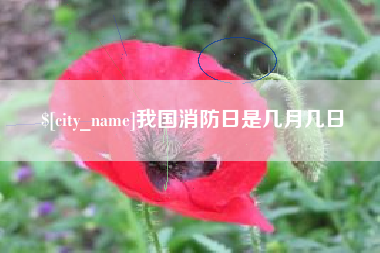 南城我国消防日是几月几日