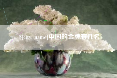 南城中国的金牌有几名