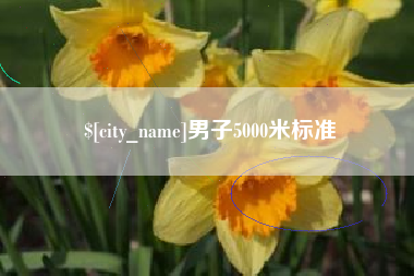 南城男子5000米标准