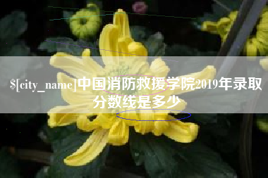 南城中国消防救援学院2019年录取分数线是多少