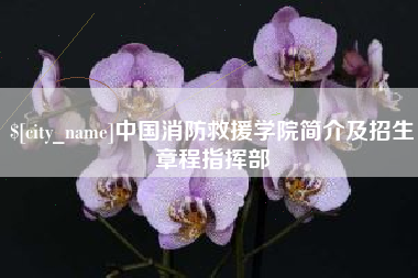 南城中国消防救援学院简介及招生章程指挥部