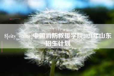 南城中国消防救援学院2021年山东招生计划