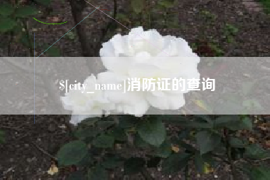南城消防证的查询
