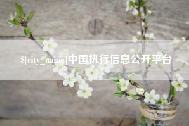南城中国执行信息公开平台