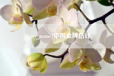 南城中国金牌估计
