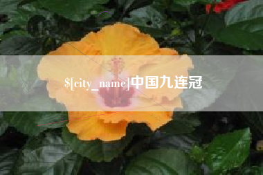 南城中国九连冠