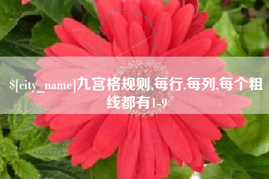南城九宫格规则,每行,每列,每个粗线都有1-9