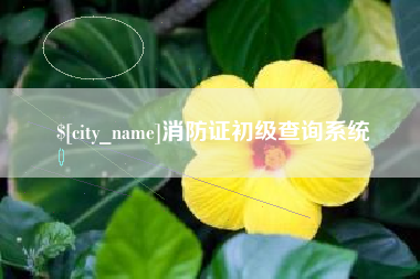 南城消防证初级查询系统