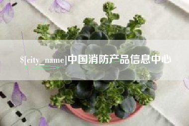 南城中国消防产品信息中心