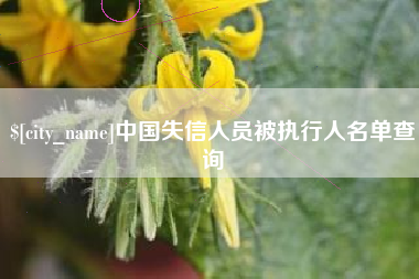 南城中国失信人员被执行人名单查询
