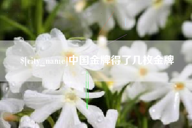 南城中国金牌得了几枚金牌