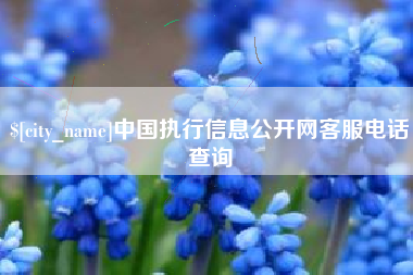 南城中国执行信息公开网客服电话查询