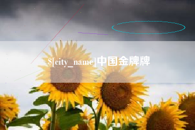 南城中国金牌牌