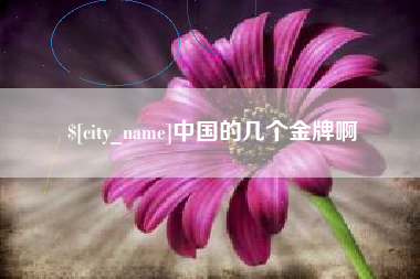 南城中国的几个金牌啊