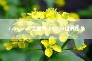 南城全国男子5000米世界纪录