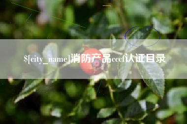 南城消防产品cccf认证目录