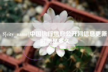 南城中国执行信息公开网信息更新时间是多久