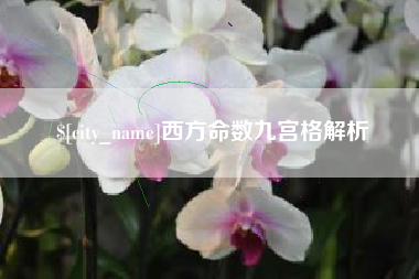南城西方命数九宫格解析