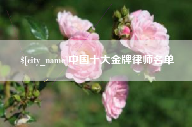 南城中国十大金牌律师名单
