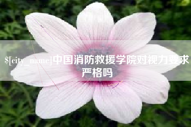 南城中国消防救援学院对视力要求严格吗