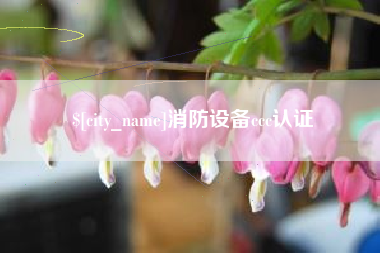 南城消防设备ccc认证