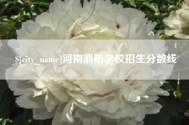 南城河南消防学校招生分数线