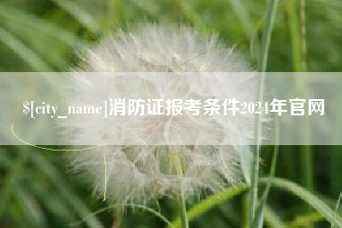 南城消防证报考条件2024年官网