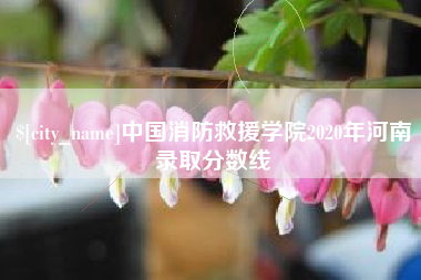 南城中国消防救援学院2020年河南录取分数线