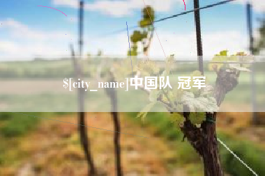 南城中国队 冠军