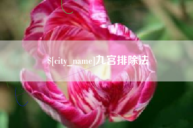 南城九宫排除法