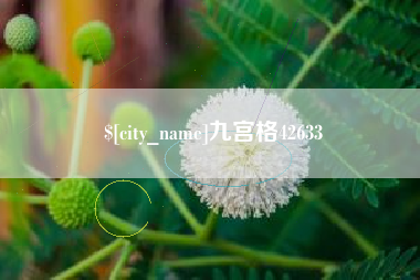 南城九宫格42633