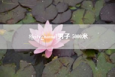 南城男子 5000米