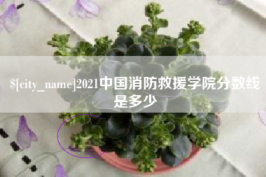 南城2021中国消防救援学院分数线是多少
