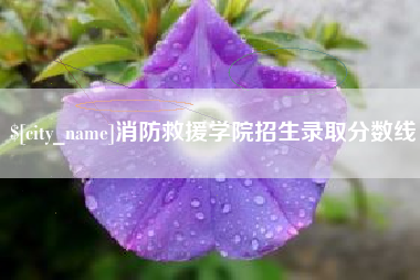 南城消防救援学院招生录取分数线