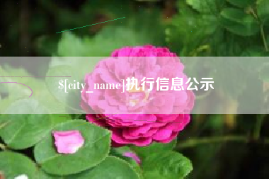 南城执行信息公示