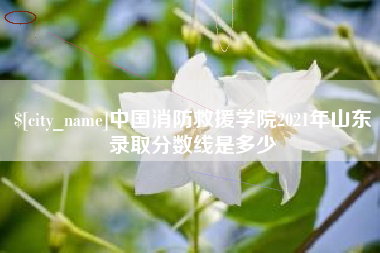 南城中国消防救援学院2021年山东录取分数线是多少